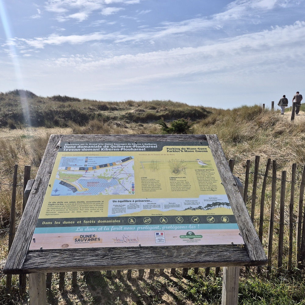 Dunes de Plouharnel à Quiberon