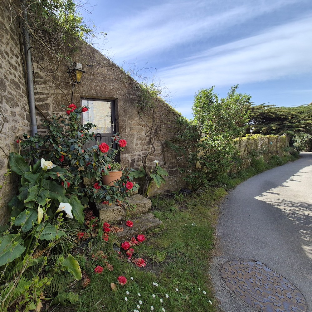 Maison avec ses roses à Ste Barbe
