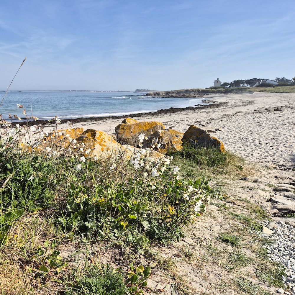 La nature sur la presqu'île de Quiberon